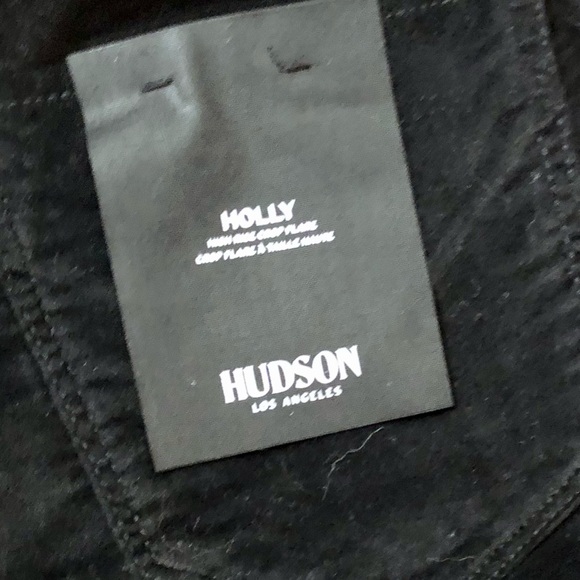 Hudson Los Angeles “Holly” Flares - Ombré Velvet/Velour Cropped Flare Pa… - Picture 8 of 8
